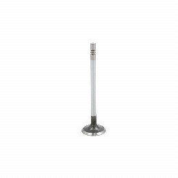 Valvula Citroen Berlingo 1.6 Admision