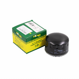 Filtro de Aceite Ram 700 1.3