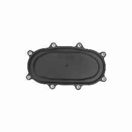 Tapa Distribucion Fiat Ducato 2.3