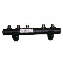 Riel Inyeccion Citroen C4 1.6