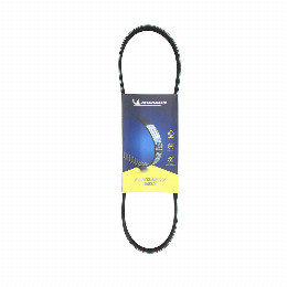 Correa Accesorios Suzuki Swift 1.4