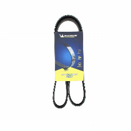 Correa Accesorios Fiat 500 1.2