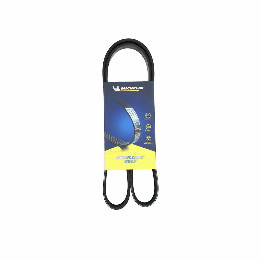 Correa Accesorios Ram 700 1.4