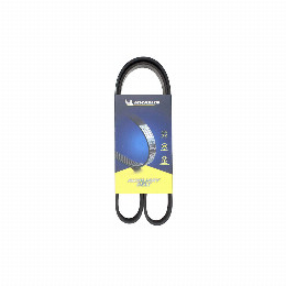Correa Accesorios Citroen C4 1.2