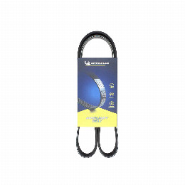 Correa Accesorios Renault Scenic 2.0