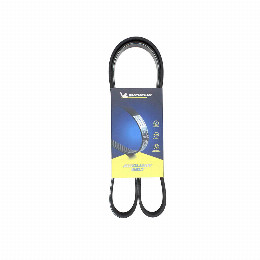 Correa Accesorios Citroen C4 2.0