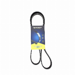 Correa Accesorios Fiat Argo 1.8