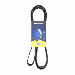 Correa Accesorios Ssangyong Stavic 2.7