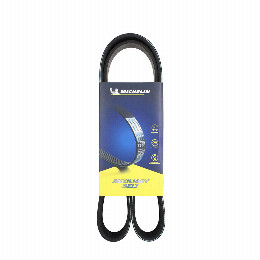 Correa Accesorios Nissan March 1.6