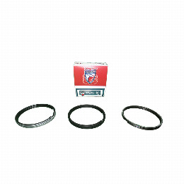 Juego Anillos Citroen Jumper 2.2 Standard - Diametro 86mm - Espesor 2x2x2mm