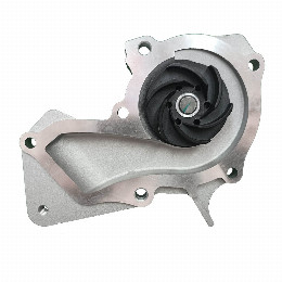 Bomba de Agua Ford Focus 1.6