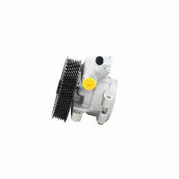 Bomba de Direccion Ford Ecosport 1.6 Rocam
