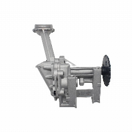 Bomba de Aceite Renault Scenic 1.6 Piñon 24 Dientes